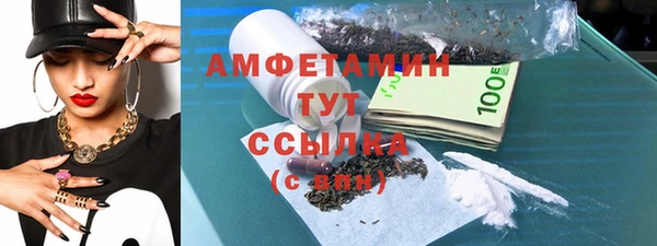 мет Алексин