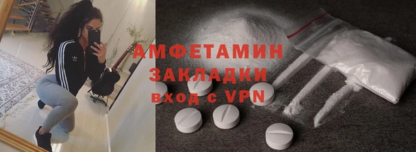 мет Алексин