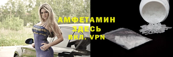 мет Алексин