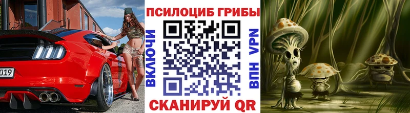 сайты даркнета клад  Пикалёво  Галлюциногенные грибы Cubensis 